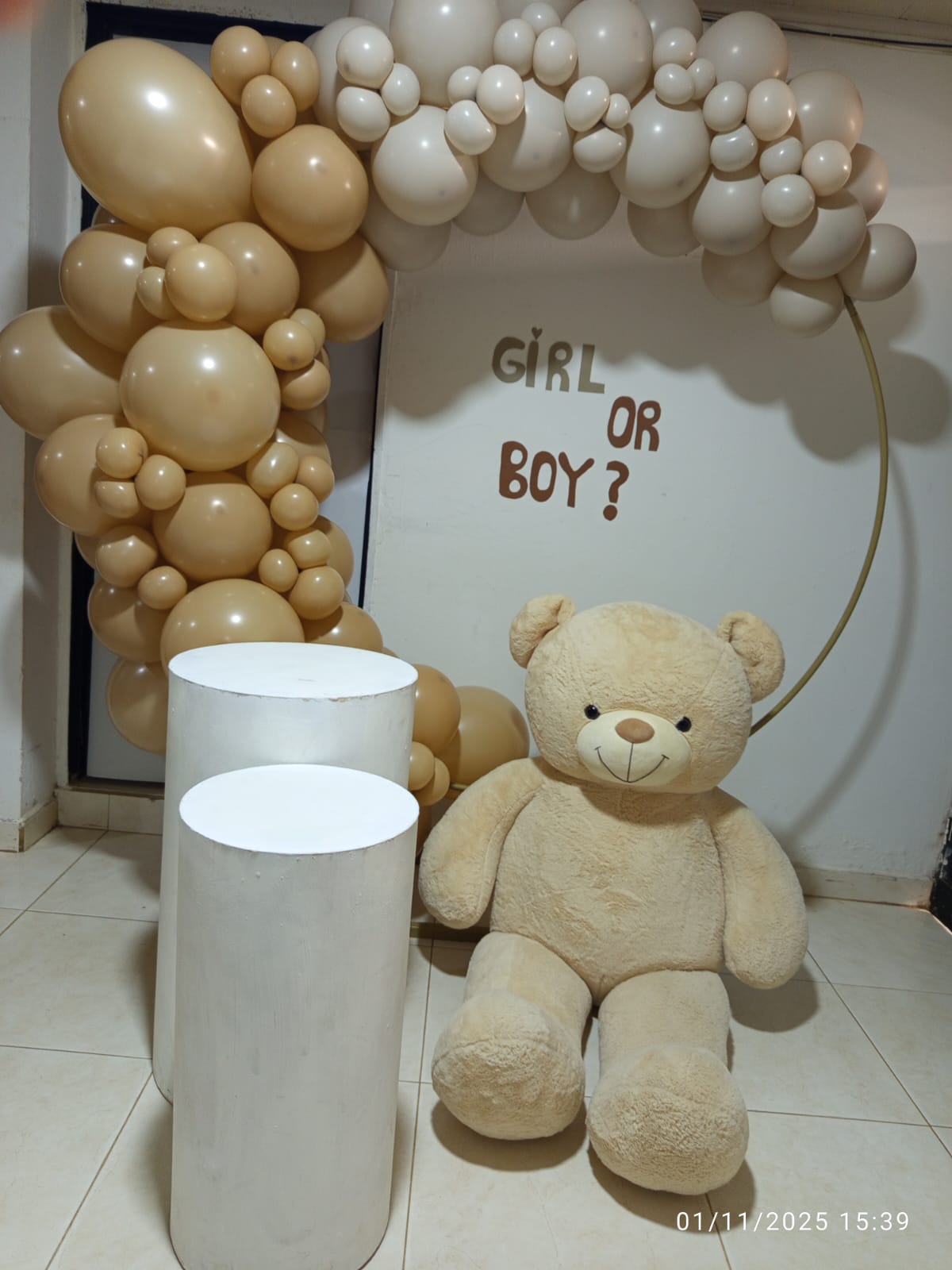 Arco de globos nude para revelación de género con oso de peluche